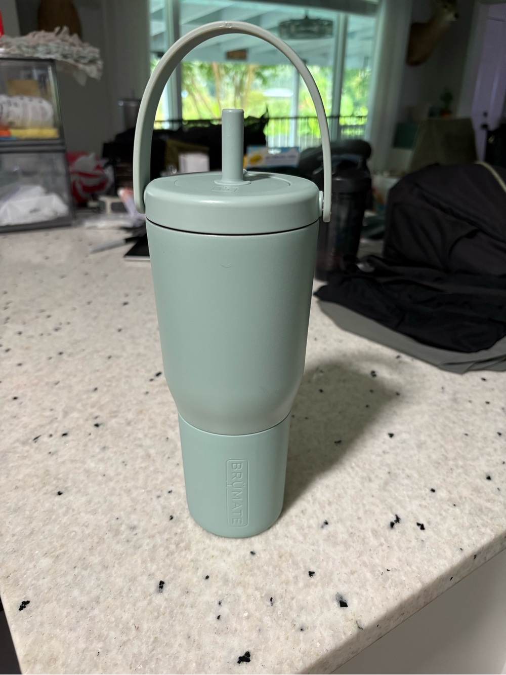 Brumate Mint Green Insulated Tumbler with Handle